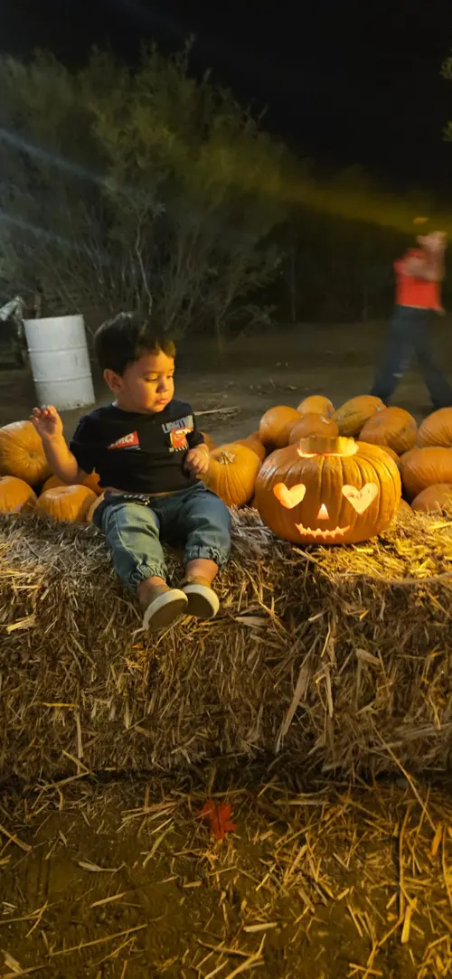 Visitantes del Pumpkin Fest en Ciudad Norte, foto 2