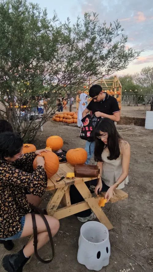 Visitantes del Pumpkin Fest en Ciudad Norte, foto 15