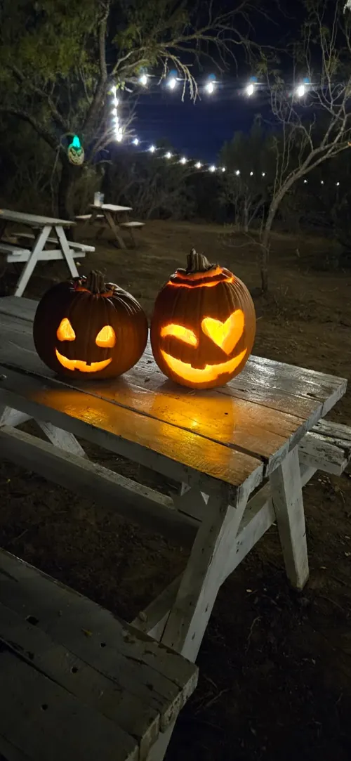 Visitantes del Pumpkin Fest en Ciudad Norte, foto 23
